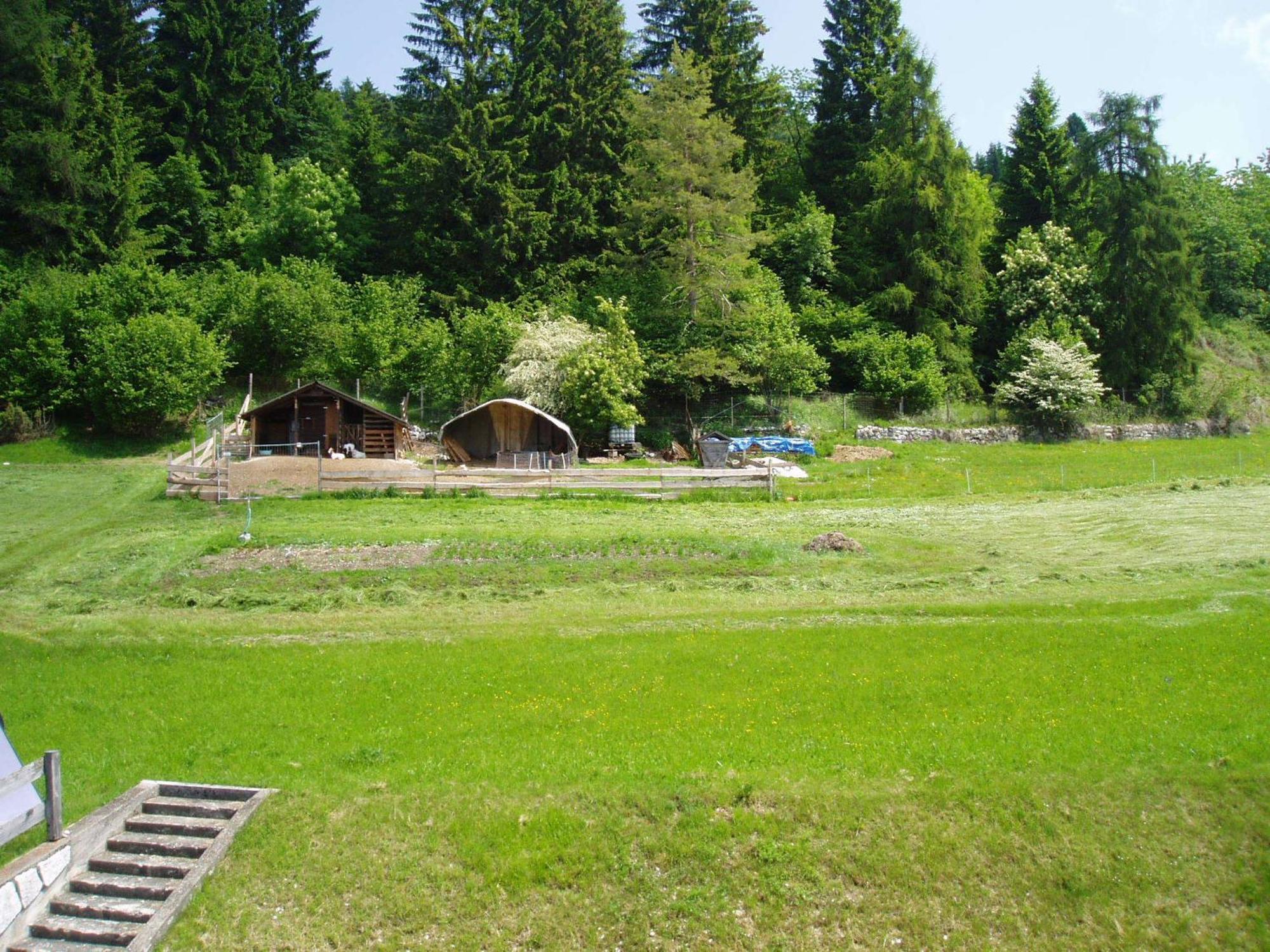 Giongo Residence - Appartamenti Лавароне Екстериор снимка